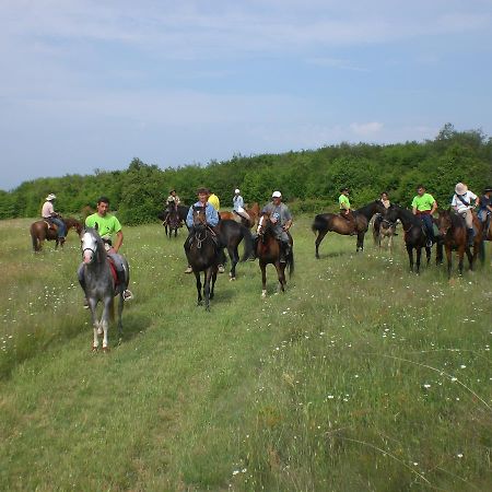 Ledenika Lodge Vraca Kültér fotó