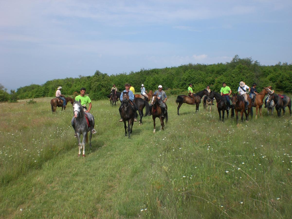 Ledenika Lodge Vraca Kültér fotó
